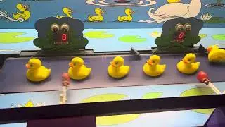 ice 2000 wacky ducks arcade at Salem Willows arcade￼