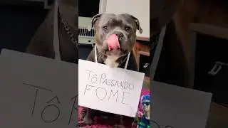 Voc&ecirc; acha que ele est&aacute; passando fome? 🍽️