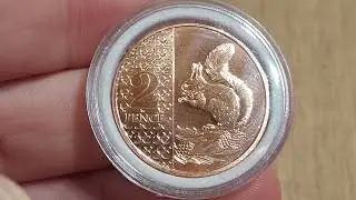 2024 TWO PENCE COIN RED SQUIRREL