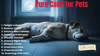 Quiet Sleep Music for Pets at Night 🌙