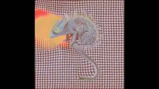 Proactive evolution WHY? unofficial Music Video