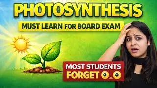 Photosynthesis ❌ Don’t Miss These Points | Class 10 Biology | Part -3