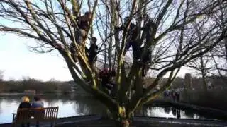 Shrovetide football