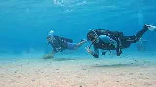 Feel the Freedom of diving AVELO | Dive Friends Bonaire