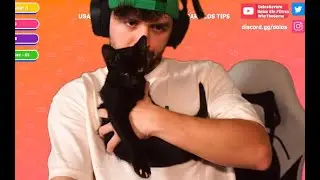 He rescatado a un gatito en la calle (estoy buscándole familia)