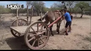 📺 Segundo y tercer bloque (Sin cortes)
