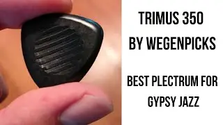 Best Gypsy Jazz Plectrum: Trimus 350 by Wegenpicks