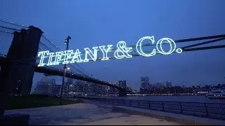Tiffany & Co. &mdash; The 2017 Tiffany Blue Book Gala