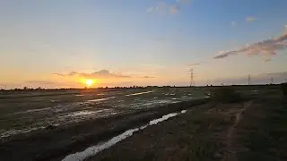 Sunset at rice fields 🌾