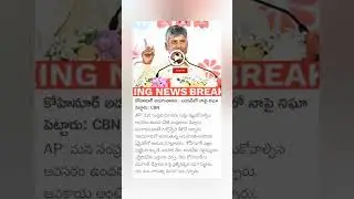 #cbn #chandrababu #tdp