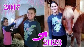 Q & A 💗 6 Jahre Huzule Chilli 💗Pferde Special - erstes Pferd - Jungpferd kaufen - Probleme mit Pferd