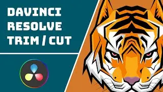 Trim / Cut a Video in DaVinci Resolve (Easy Way)