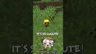 I collected the NEW baby mobs! Video is linked here ^ #minecraft #babymobs #snapshot #babyupdate