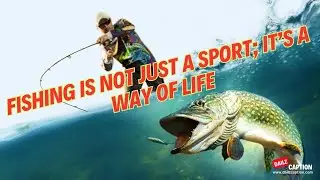 Fishing Captions And Quotes For Instagram #fishing #Dailzcaption #captions #quote   #instagramquote