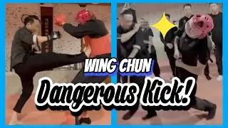 How effective is the kick in Wing Chun? ?#shorts #kungfu #wingchun #kicks