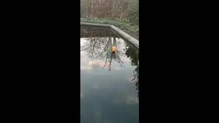Pop pop bootje in SV