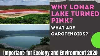 Why Lonar lake turned pink? Ecology Current Affairs