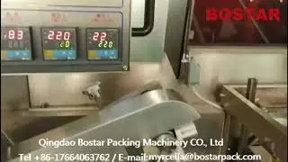 Automatic Pillow Flow Box Motion Packing Packaging Machine for Frozen Dumpling with Tray^_^