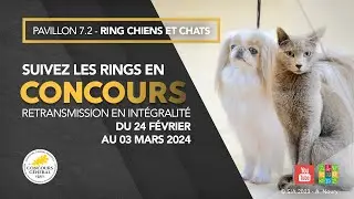 Ring Chiens et Chats 29/02/2024
