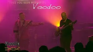 Voodoo - Moodify Live