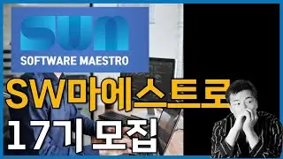 SW 마에스트로 17기 모집 분석