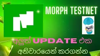 Morph Testnet/new update/sinhala/Airdrop Moneyඅනිවාරෙන් කරන්න
