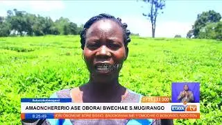 Amoonchorerio ase ese esector y'echae South Mugirango