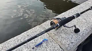 Shimano Sustain AX78M