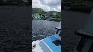 🌊 Hidden Paradise: Quidi Vidi's Stunning Fishing Cove in Newfoundland! ✨
