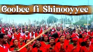 Goobee fi Shinooyyee Video New Music 