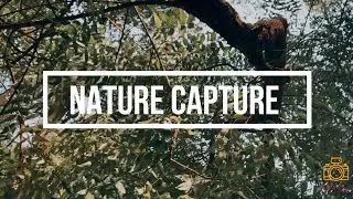 Nature Capture | A Nature relaxing film | Cinematic Video | Shot on IPhone
