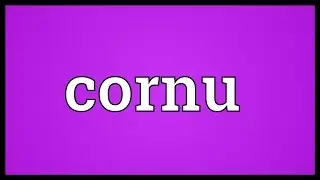Cornu Meaning