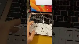 Вы умеете печатать?.. #стенография
