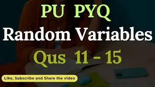 Q 11 to 15 Random Variables PU PYQ || #bsc5thsemester #puchd