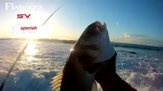 Spinning Costa Alentejana ❤ Robalo Dezembro 2024🐟Spanish Lures Portugal,🎣
