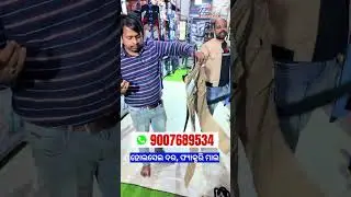 jeans for mens | odisha best clothing business idea | jeans wholesale market bhubaneswar