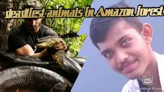 ||Top 5 dangerous animals in Amazon forests||Tamil||siva mass||