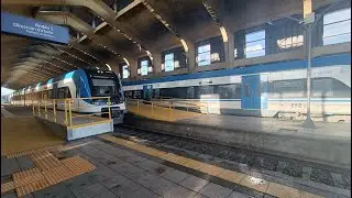 viaje ida y vuelta en tren desde Temuco a Pitrufquén