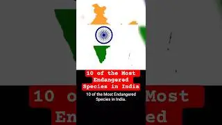10 of the Most Endangered Species in India || #endangeredspeciesinindia