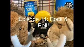 Episode 14: Rock and Roll!