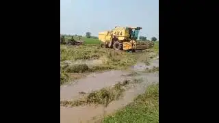 4&times;4 Combine cutting crop in mud #powerful #combine #tractors 🚜🚜🚜🚜