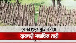 গোবর থেকে নুড়ি বানিয়ে স্বাবলম্বী শতাধিক নারী || Jago News