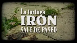 La Tortuga Iron sale de paseo