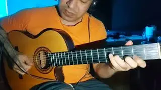 Expressive Guitar Improvisation &ndash; Feeling the Music