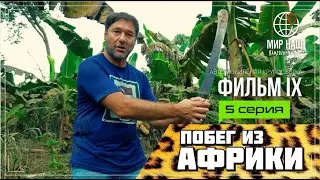 Побег из Африки. Пятая серия. Кругосветка 