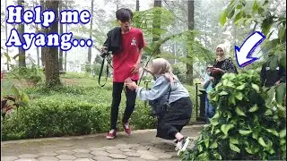 Prank manusia pohon kocak meriah || Bushman prank fun