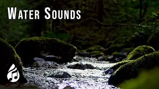 Water Sounds for Sleep or Focus. White Noise 8 Hours