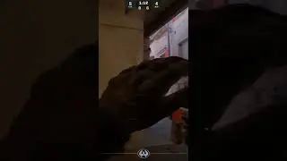 Professional cs2 woman playing