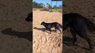 кнопка, холодный ветер и вода и парусный спорт. #art #love #viral