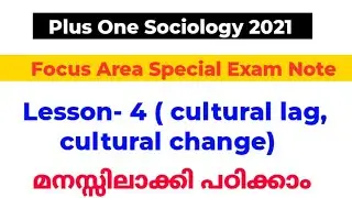 +1 sociology focus area/lesson- culture and socialisation/culture lag/cultural change/ethnocentrism
